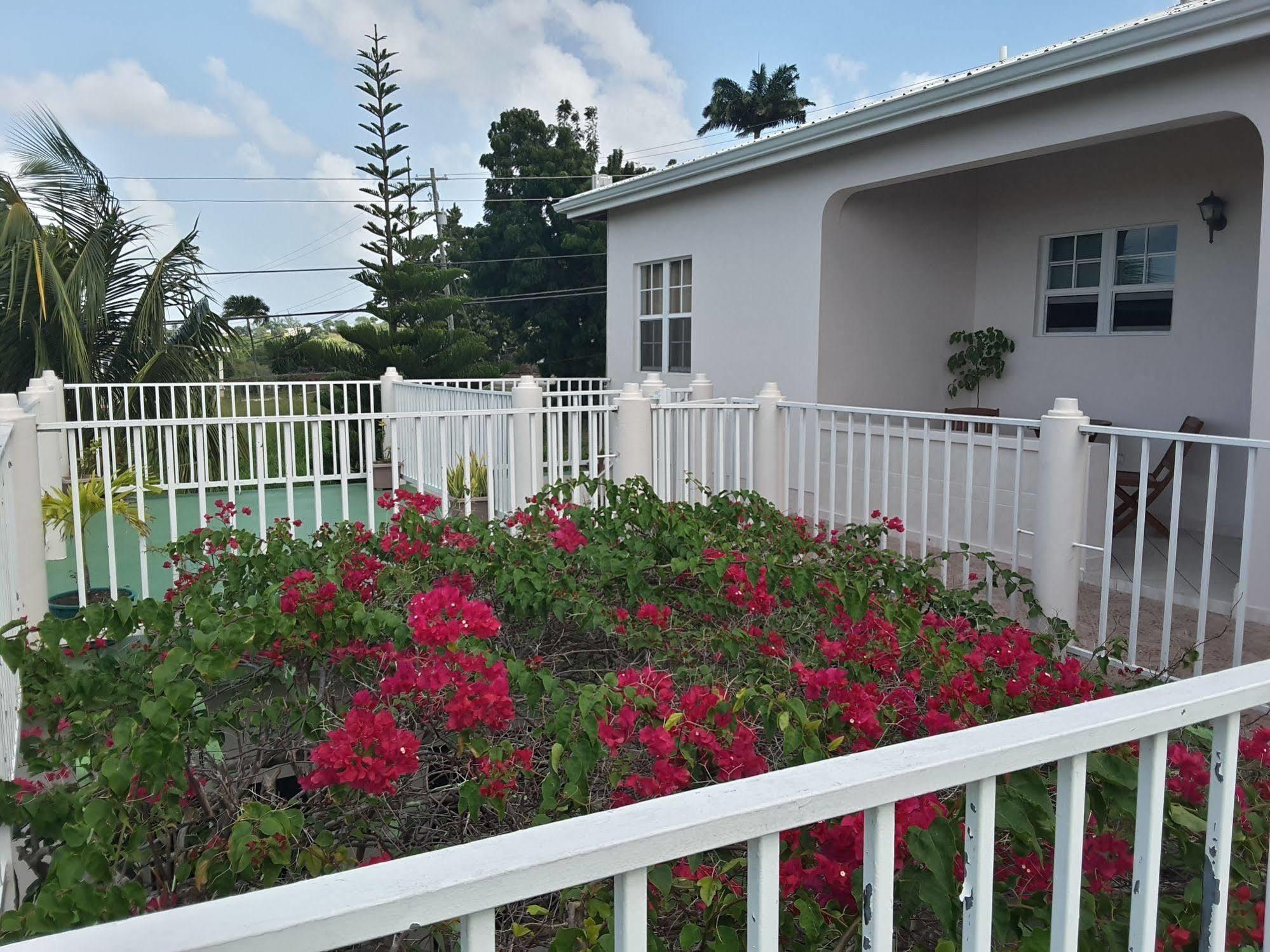 Caribbean Inn And Suites St. John's Экстерьер фото
